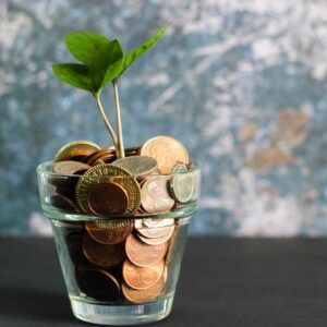 A glass of coins with a sapling growing out of it